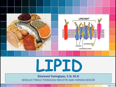 STRUKTUR DAN FUNGSI LIPID