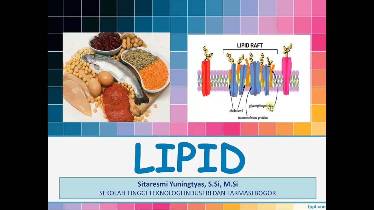 STRUKTUR DAN FUNGSI LIPID