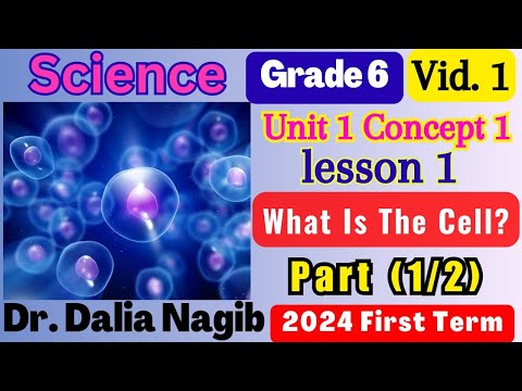 ساينس سادسة ابتدائي ترم اول              
