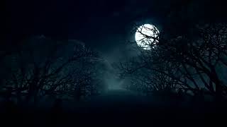 Full moon on Halloween night loop video#spooky#Halloween#fullmoon screenshot 4