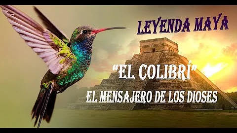 ¿Los colibríes son ángeles?