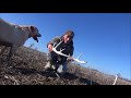 Shed Hunting 2018 Southern Ontario Finds part 2! Shed Hunting 2018 Southern Ontario Finds part 2!