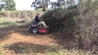 The Fastest Way To Remove Blackberries by Hand