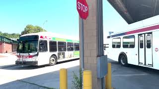 Bus Operator Recruitment - Lloyd