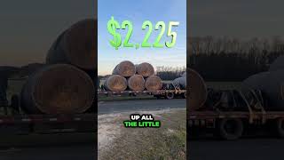How to make money in Trucking 🚛💰#shorts #trucking