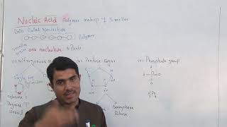 Nucleic Acid full detail along with 14 questions DNA,RNA in english part 1 by Dr Hadi Khan