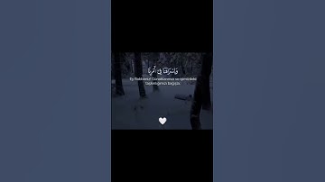 قران كريم للقارئ الشيخ ياسر الدوسري دقيقة قران #قرآن #المصحف