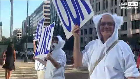 Climate Protesters #ShutDown DC Traffic