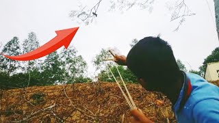 Slingshot bird hunting skill ||