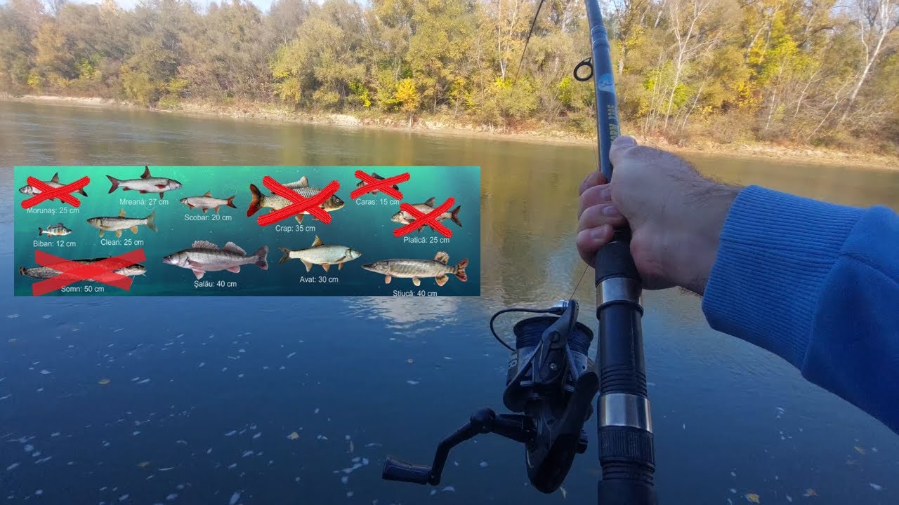 Prind toate speciile de pe salbatic ! Partea 2 a