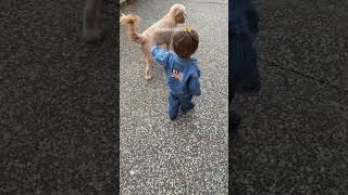 A vintage Ralph Lauren 