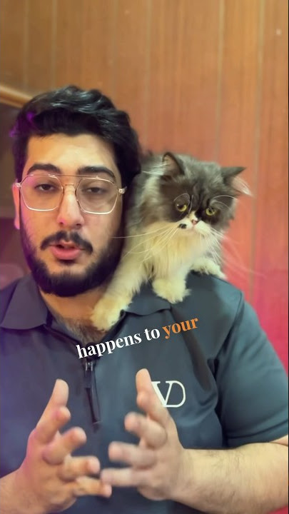 Download lagu Don't Let Your Cat Out for Mating: Neuter and Spay Instead #cat #kitten #shorts