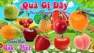 Quả Gì Đây - Dạy Bé Nhận Biết Các Loại Hoa Quả Trái Cây - Song Ngữ Anh Việt