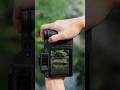 水面に映る春の色彩、モネの庭園のような風景を中判で｜Hasselblad X2D II 100C