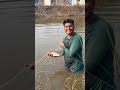 Jalala Lagla Motha Kala Masa Tilapia Fish Viral Fishing Trending Shorts Youtubeshorts