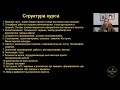 Курс &quot;Организация и проведение выставки&quot;. 14 лекций