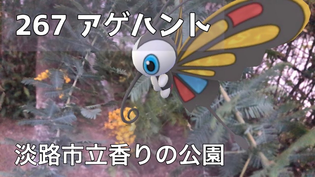 ポケgo動くポケモンずかん 267アゲハント 淡路市立香りの公園 あわじ花へんろ第二十一番花の札所 菜虫化蝶 なむしちょうとなる 七十二候 第九候 ミモザ Ar動画 Youtube