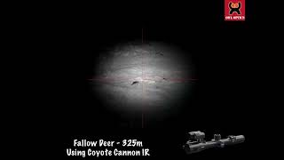 Hunting With The Pard Ds35 - Night And Day