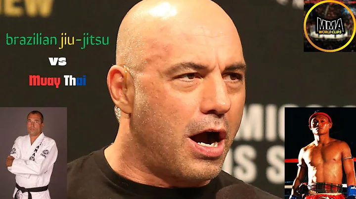 Joe Rogan about Muay Thai vs BJJ
