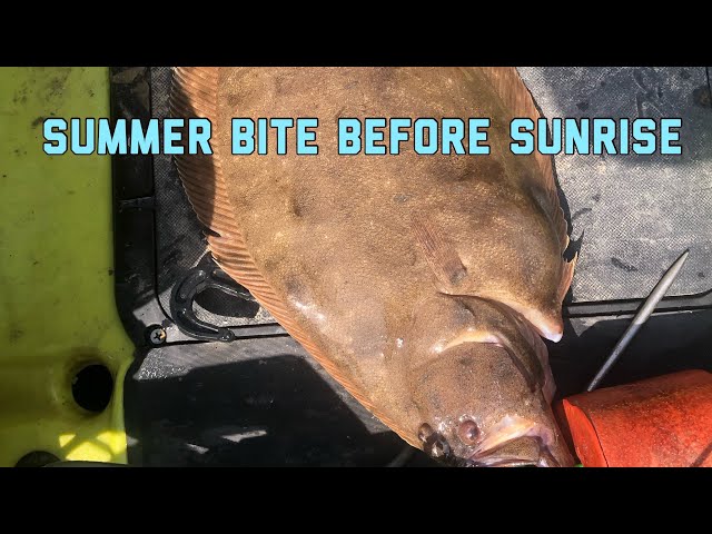 Summer Flounder Bite is before Sun Rise/ Fishing Spots Cedar Lake, San  Bernard River Texas 