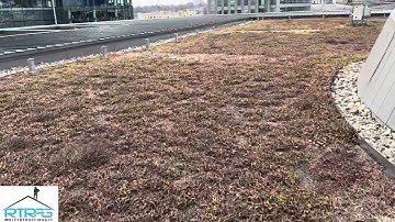 Is there a good way to find a leak on a Green Roof?  With #RolfTheRoofingGuy