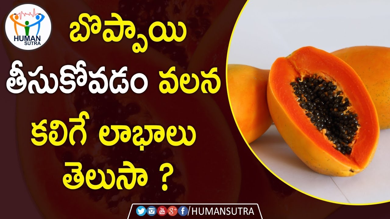 Amazing Health Benefits Of Papaya Health Tips In Telugu Human Sutra