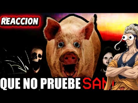 fury REACCIONA " el lado oscuro de tus animales favoritos"