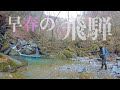 【渓流ルアーフィッシング】飛騨の天然魚に会いに行く
