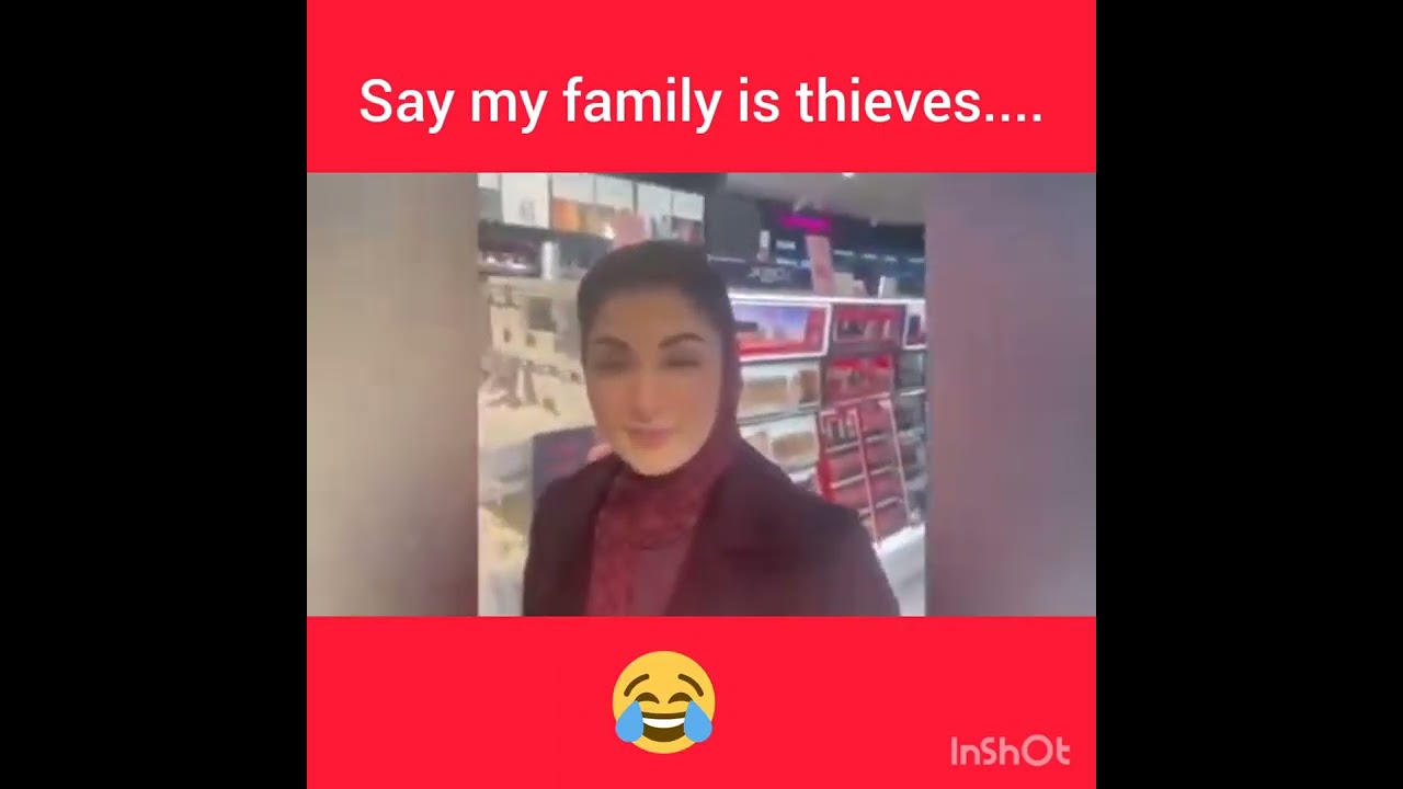 Marriam Nawaz high level insult after photo 