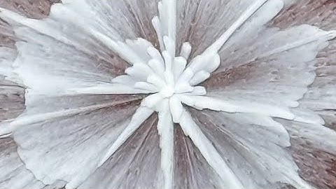 #376 A Simple Bloom in Epoxy Resin