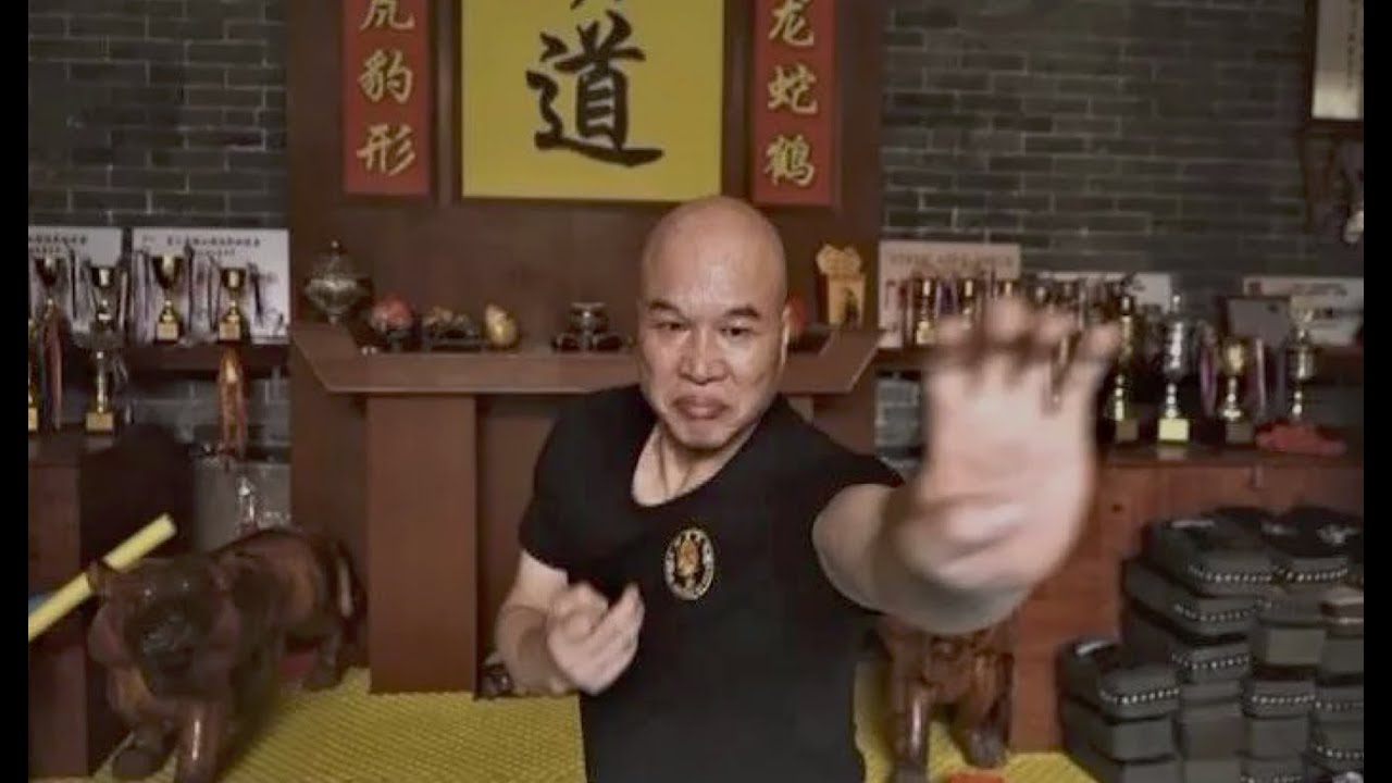 廣州白眉拳太「勁爆」！威勢逼人快無影