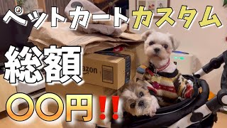 総額いくら？】購入したばかりのピッコロカーネタント3をカスタムして