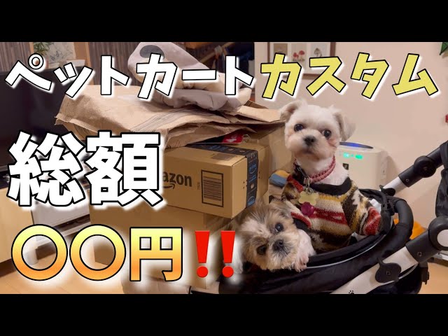 総額いくら？】購入したばかりのピッコロカーネタント3をカスタムして