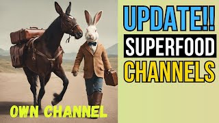 Horses, Rabbits and Rodents do get own SUPERFOOD channel! by Superfoods for CATS 59 views 2 weeks ago 1 minute, 16 seconds
