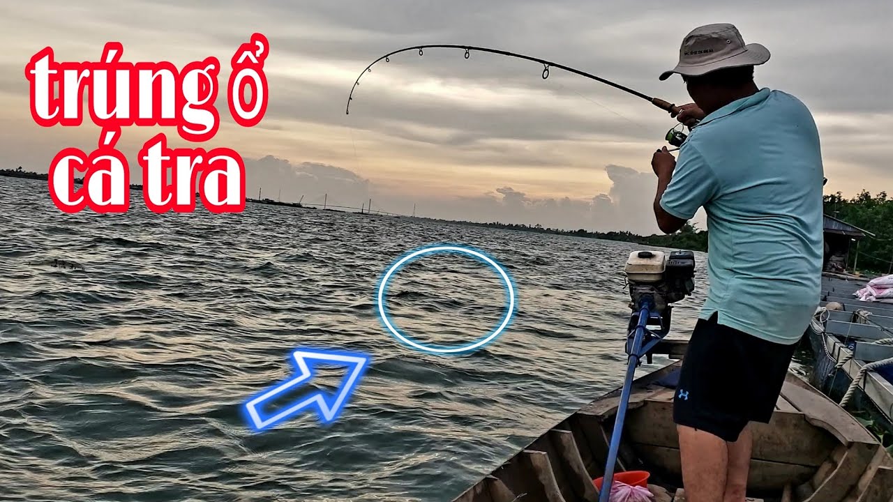 TRÚNG Ổ CÁ TRA SÔNG, BẰNG MỒI BÁNH MÌ THẦN THÁNH - FISHING IN THE RIVER VIET NAM