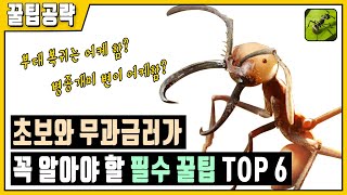 [디앤츠] 초보와 무과금이 반드시 알아야 할 『필수 꿀팁』 공략 TOP 6 [디앤츠 언더그라운드 킹덤] screenshot 2