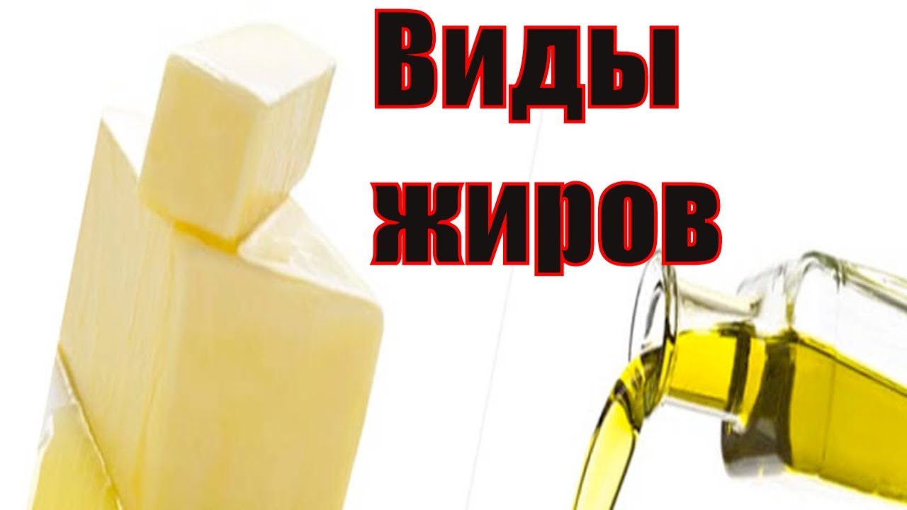 Жиры и их классификация. Виды жиров. Что такое жир? Сарвасатья