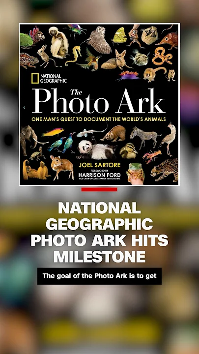 Photographer wants to film 25,000 species — he’s closer than you think