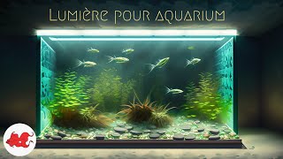 Aquarium : éclairage lumière
