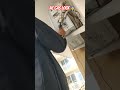 Blue Star Ac gas look 🧑‍🔧 #ac #gas #look #airconditioner #youtubeshorts #shorts