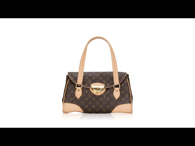 Louis Vuitton Bags I would Not buyAdvice from a Client Advisor