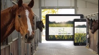Die Pferde App im Video screenshot 3