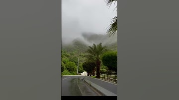 سورة الحشر #قرآن #اكسبلور #اسلام_صبحي