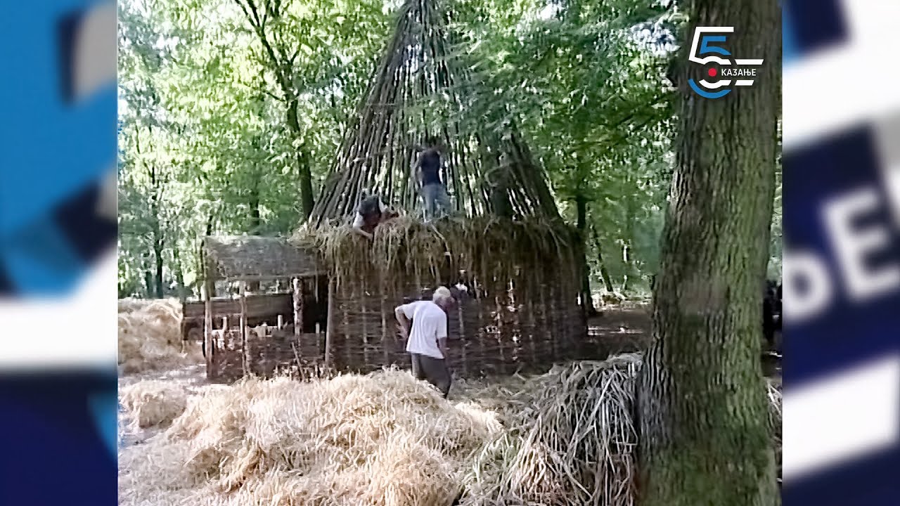 SVINJARSKA KOLEBA u Bojčinskoj šumi - Borino 5kazanje