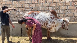 Pani khatam ho gya borewell me abb kya hoga / sabko nhelane ka time