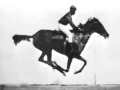 The horse in motion eadweard muybridge 1878 first film ever