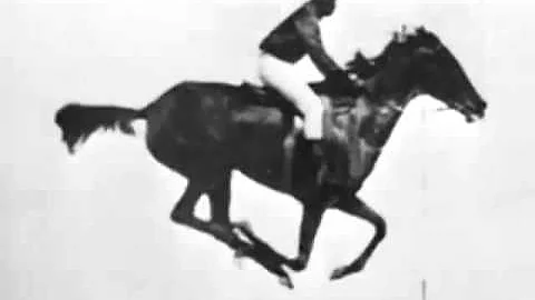 The horse in motion (Eadweard Muybridge) 1878 First Film Ever - DayDayNews