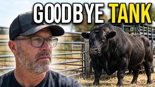 Moving a 2,000lb Bull: Will He Get on the Trailer?