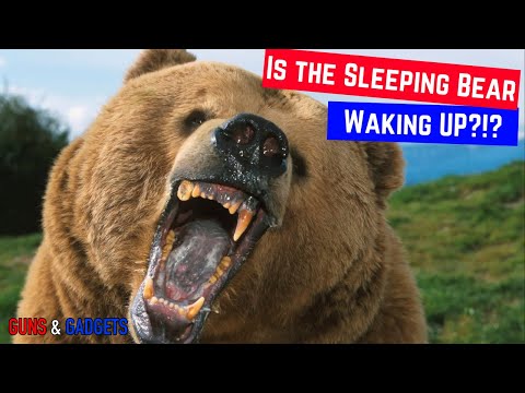 Is The Sleeping Bear Waking Up?!?