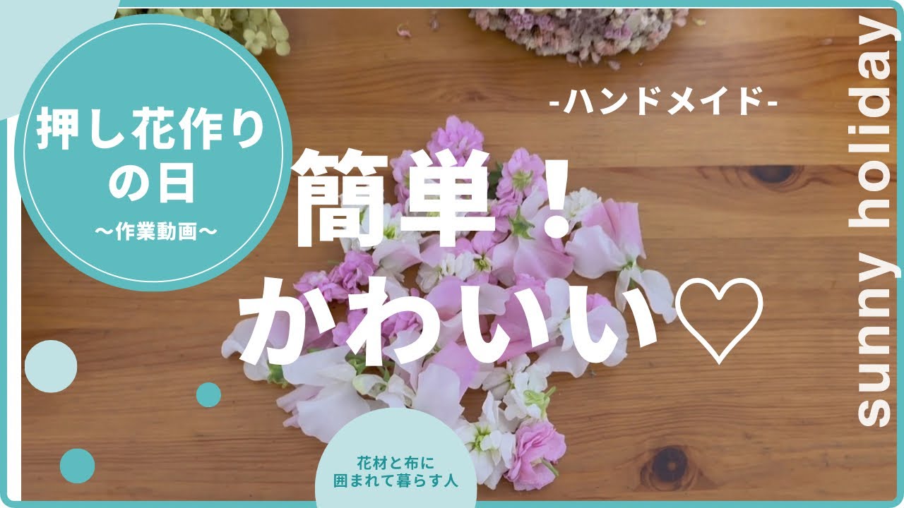 【スイートピー】【押し花】スイートピーとストックを使って押し花を制作！白とピンクが可愛い(*^^*)春のお花オススメです♪簡単に出来て大切なお花を残せるので是非やってみてね‼︎#工作 #おうち時間 